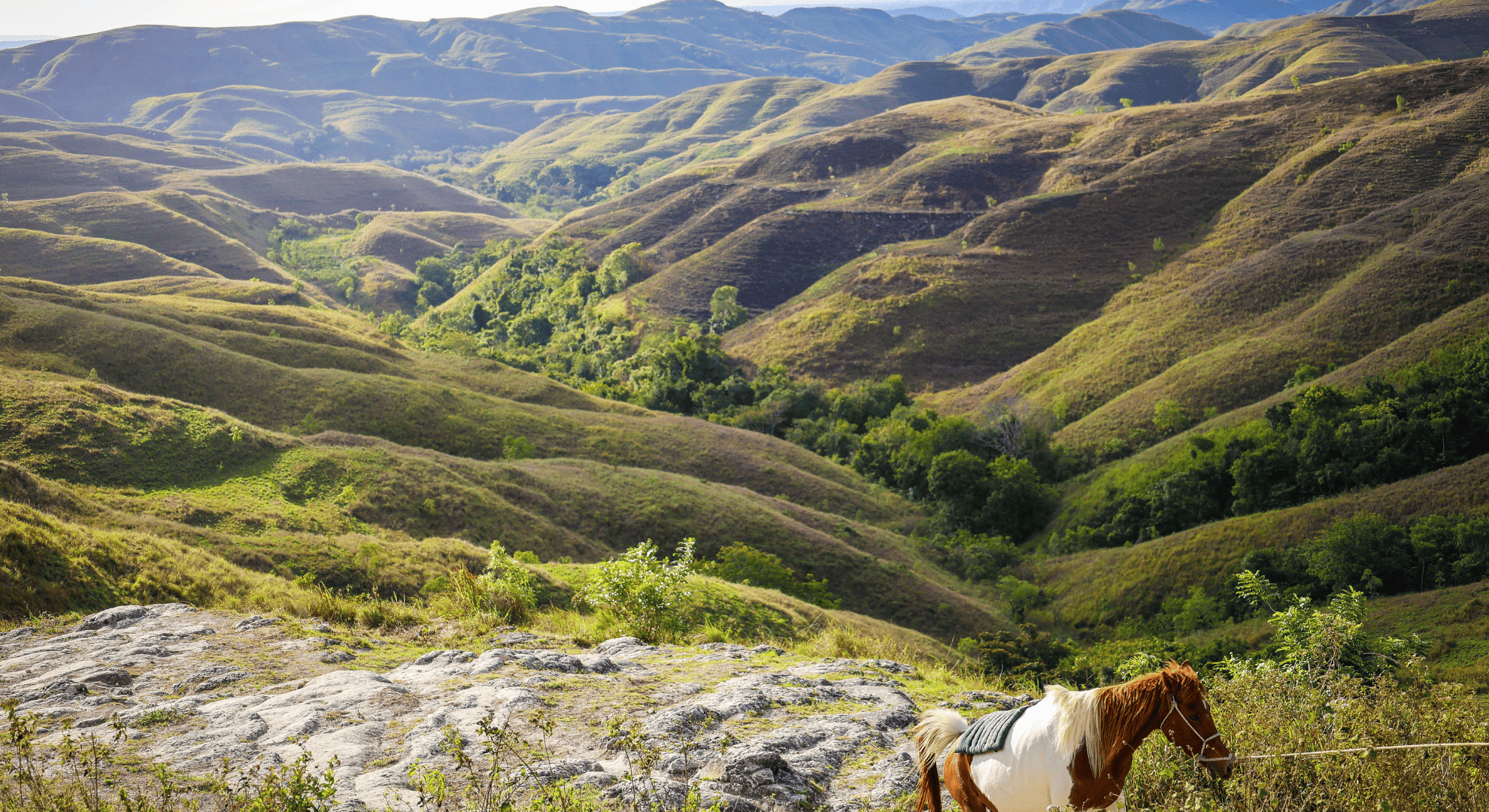 Corporate Transactions & Advisory