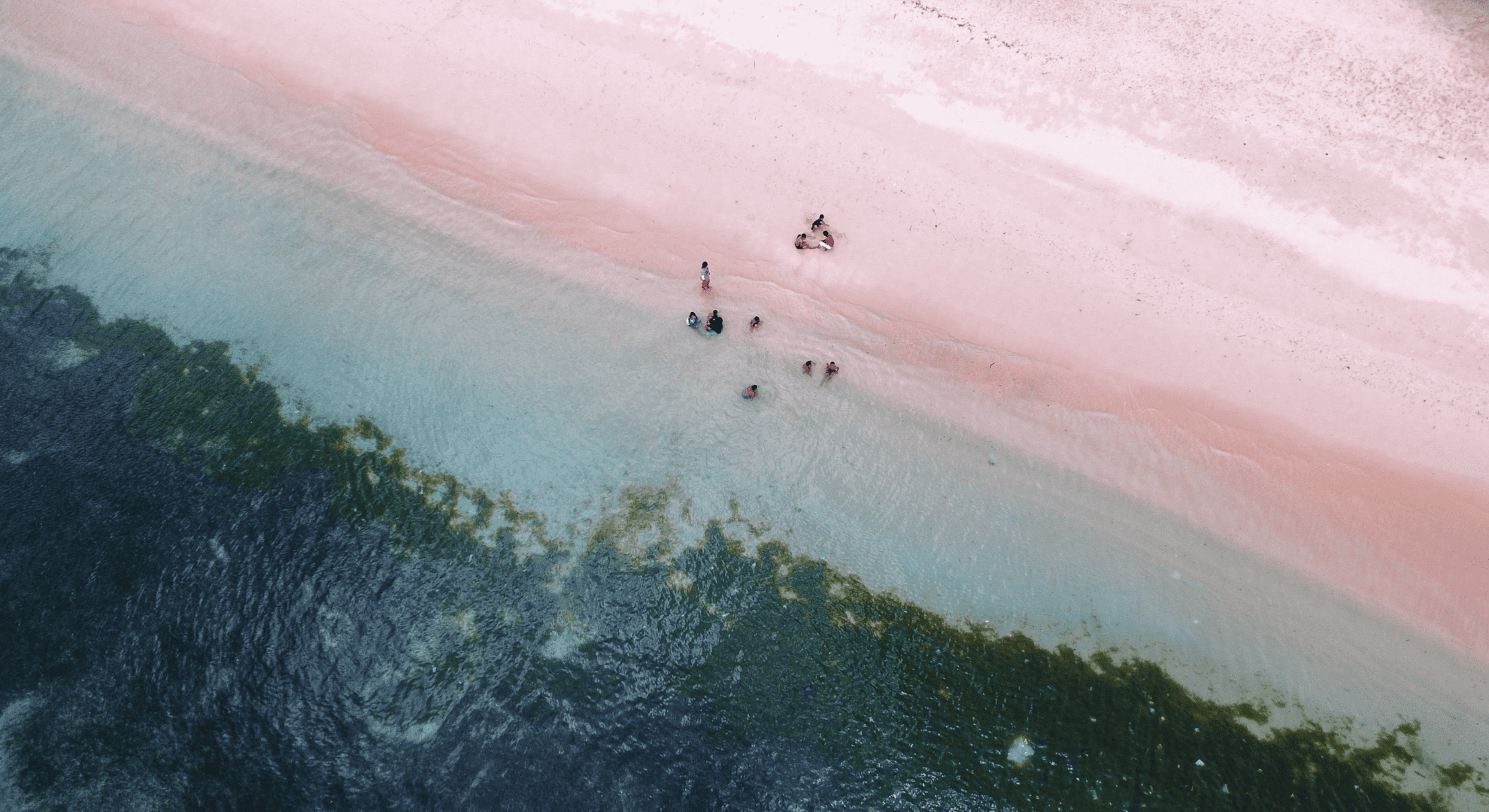 Corporate Transactions & Advisory